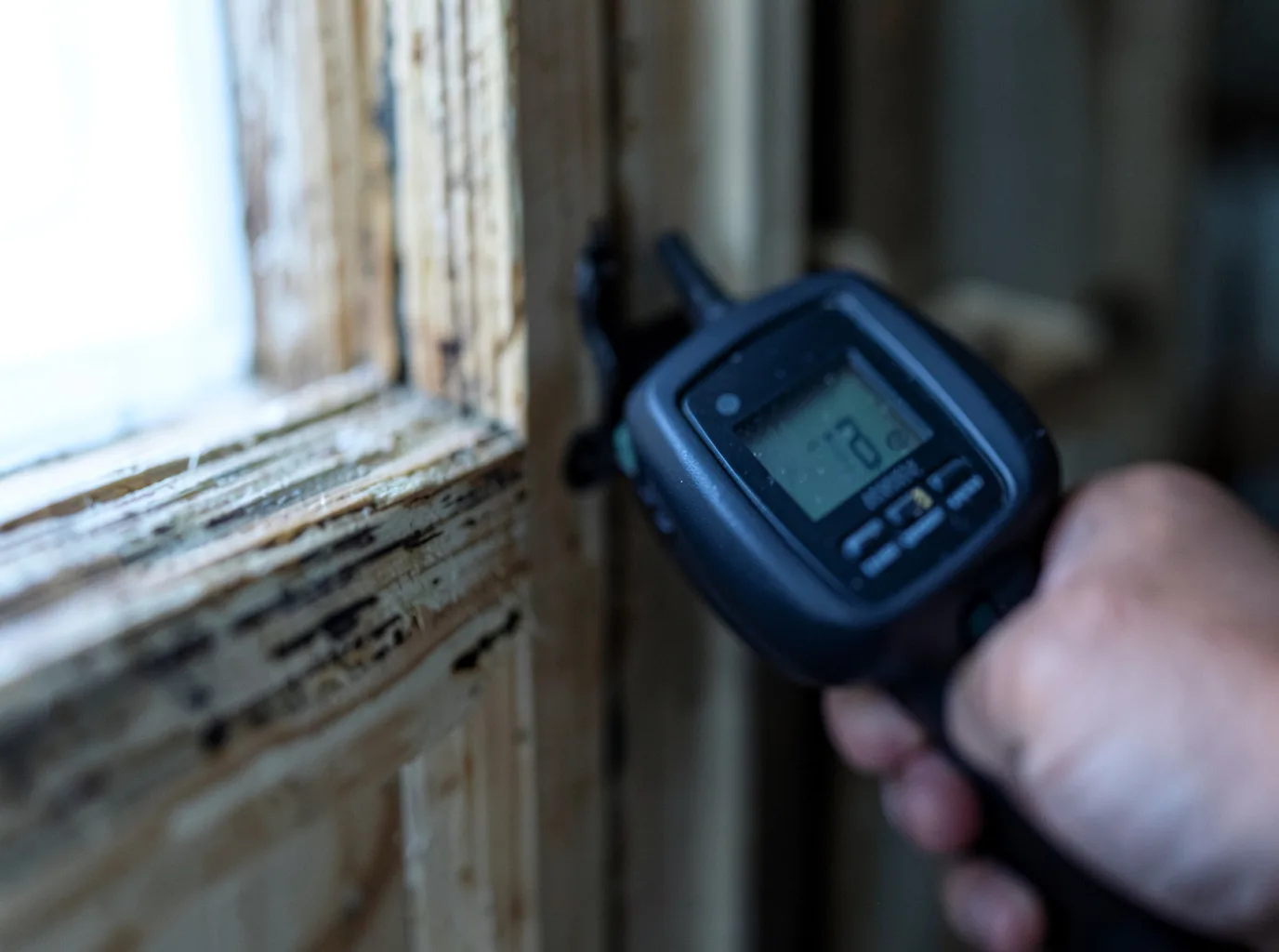 Moisture Inspection And Documentation in Meadview, AZ